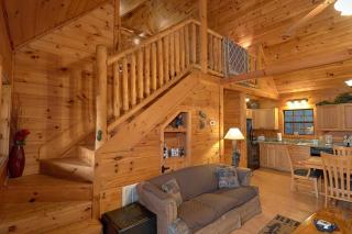 Wet Bear Paws #146 - 2