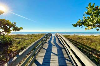 Out of Office Oasis - Clearwater Beach - 7