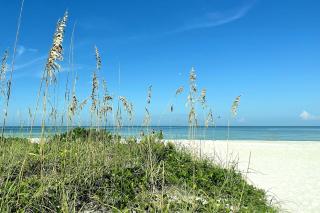Out of Office Oasis - Clearwater Beach - 3