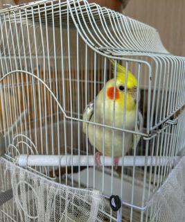 Guest House - Sevan - 1
