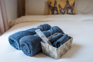 Dublin Suburban Haven - 2