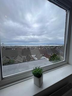The 145 house in Swansea city centre, Train, Beach, Mumbles, Gower - Swansea - 3