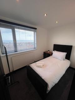 The 145 house in Swansea city centre, Train, Beach, Mumbles, Gower - 4