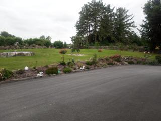 Blackbrink cottage - Roscommon - 2