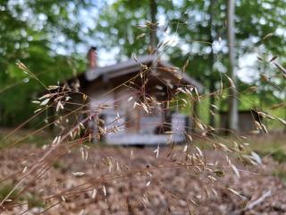 Bjärnhultsgårdens stugor - 0