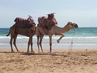 Cosy apartment in close proximity to the ocean - Imi Ouaddar - 7