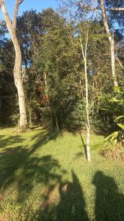 Los Árboles - Puerto Iguazú - 7