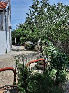 Apartments with a parking space Cizici, Krk - 15415 - Malinska - 5