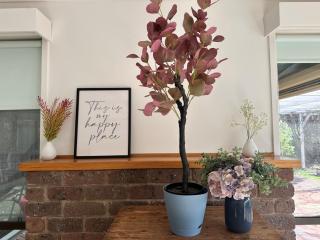 Close to the Shops Beach, Perfect for 2 Families - 2