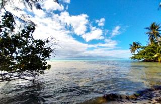 MOOREA - Utuafare OaOa - Afareaitu - 0