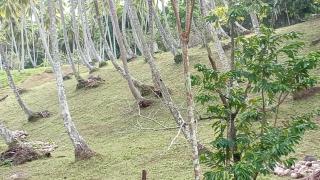 Piitake camping Ua-Huka - Vaipaee - 4
