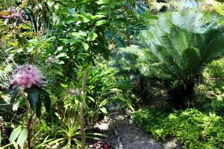 Wild Serenity's Beach Villa - Castries - 0