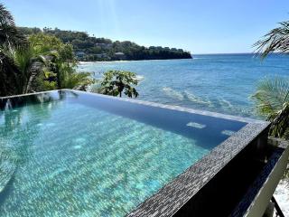 Wild Serenity's Beach Villa - Castries - 5