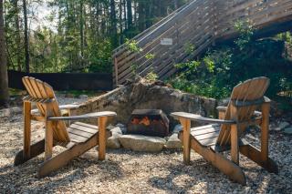 Black Spruce - Yellow Door - 7