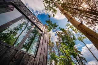 Black Spruce - Yellow Door - 3