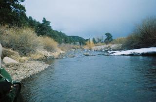 Decker's Cabin- fly fish on the Gold Medal South Platte River - - 9