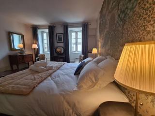 Chambre "Diane" avec salle d'eau privative et petit-déjeuner à Châteauroux - FR-1-591-602 - Châteauroux - 9