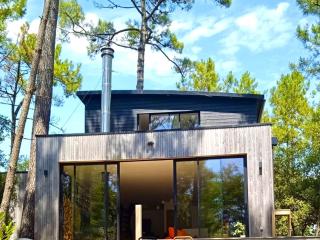 Maison dans les arbres, proche plage, cheminée, jardin, parking - FR-1-652-46 - Saint-Jean-de-Monts - 9