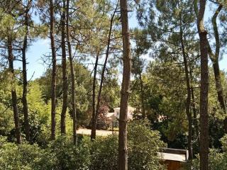 Maison dans les arbres, proche plage, cheminée, jardin, parking - FR-1-652-46 - Saint-Jean-de-Monts - 8