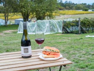 Rae at Lake George Winery by Tiny Away - Collector - 8