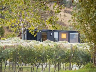 Rae at Lake George Winery by Tiny Away - Collector - 7