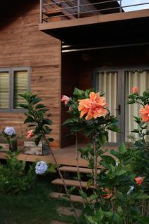 Lâm Khanh Home Bảo Lâm- Nhà gỗ bên rừng thông - 6