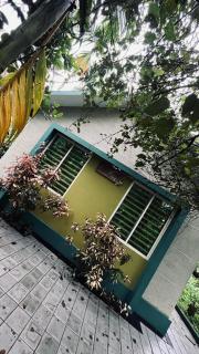 CatsClaw Inn - Talayolaparambu - 3