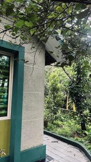 CatsClaw Inn - Talayolaparambu - 4