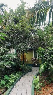 CatsClaw Inn - Talayolaparambu - 6