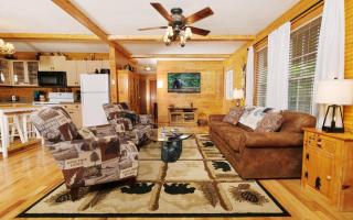 Cozy Bear Camp - Sevierville - 5