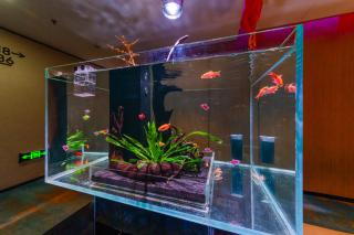 Chengdu Cosy Inn - 2