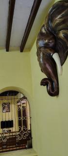 Elite Heritage Stay - 4