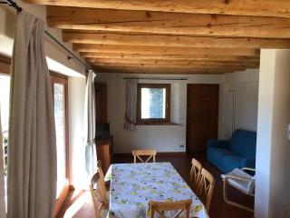 Le Bouvier - 2