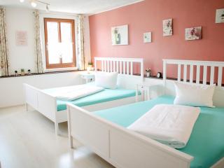 XXL-Ferienwohnung Blumenwiese - Hayingen - 7