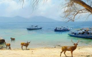 The Beach Bungalows & Turtle Sanctuary - Pemuteran - 4