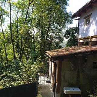 Il canto del bosco - 7