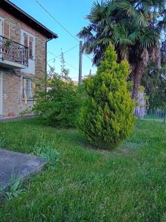Casa Camugno - Dalle colline al mare - Montechiaro D'acqui - 7
