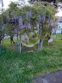 Casa Camugno - Dalle colline al mare - Montechiaro D'acqui - 4
