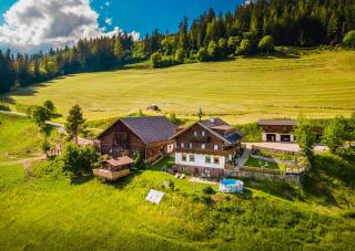 Gschwandtgut Urlaub am Bauernhof - 6