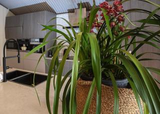 Artists Residence - 1