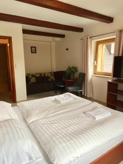 Ski&Spa Zieleniec - 1