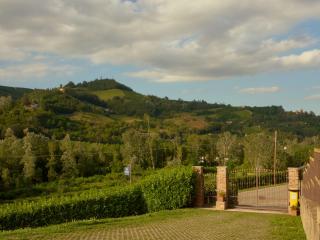 Vigna Dell'Acqua - Santo Stefano Belbo - 6