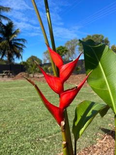 Safari Tent 7 Accessible - 1