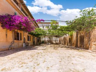 Possessio Sa Barrala Casa del Señor - 9