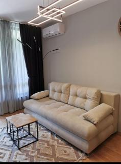 Aspen Suites Luxury apartment A005 - Razlog - 8