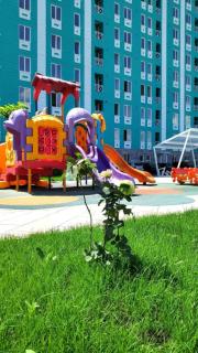 H&E home - Erevan - 8