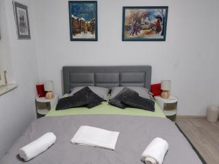 Apartman Ivana - Karlovac - 1