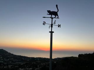 Casa Franca - Ischia - 9
