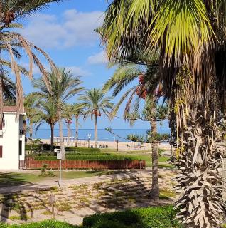 شاليه في قرية سما العريش - Arish - 4