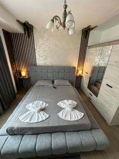 Nix Apartment - Calea Moldovei - Bistriţa - 8
